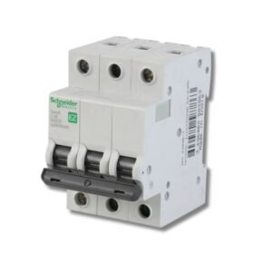 Schneider Brand Easy9 Miniature Circuit Breaker (mcb)
